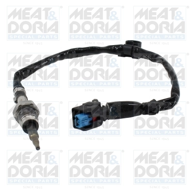 Sensor, exhaust gas temperature